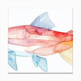 Salmon 2 Canvas Print