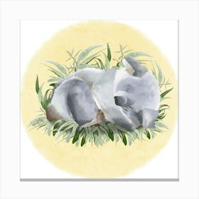 Koala 1 Canvas Print