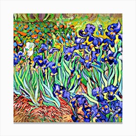Irises Vincent Van Gogh Art Print Canvas Print