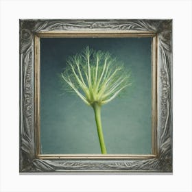 Frame Created From Fennel On Edges And Nothing In Middle Haze Ultra Detailed Film Photography Li (7) Canvas Print