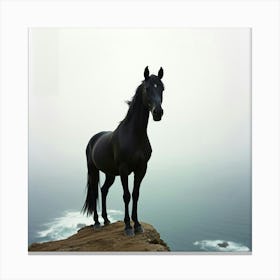 Black Horse On Cliff 9 Canvas Print