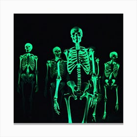 Glow In The Dark Skeletons Canvas Print