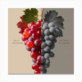 Grapes And Leaves Canvas Print