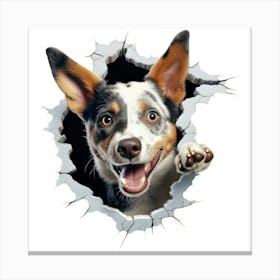 Australian Cattle Dog Canvas Print