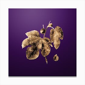 Gold Botanical Briansole Figs on Royal Purple n.0208 Canvas Print