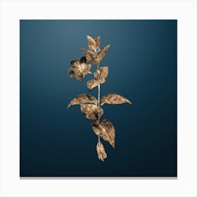 Gold Botanical Greater Periwinkle Flower on Dusk Blue n.4029 Canvas Print