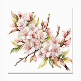 Blossoming almond branch 1 Canvas Print