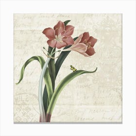 Lily Of The Valley Canvas Print