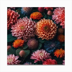 Warm dahlias Canvas Print