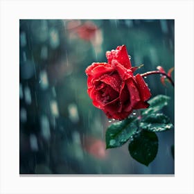 Rainy Rose 1 Canvas Print