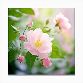 Flowers Leaves Nature Soft Freshness Pastel Botanical Plants Blooms Foliage Serene Delic (7) Canvas Print