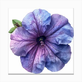 Purple Petunia 2 Lienzo