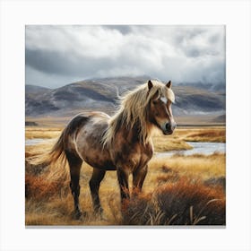 Icelandic Horse Canvas Print