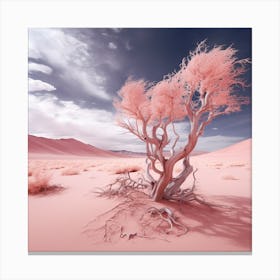 Pink Tree In The Desert Canvas Print