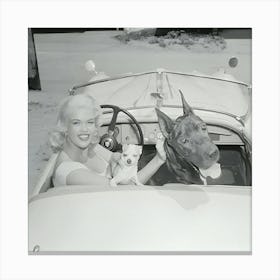 Jayne Mansfield In Car With Her Dogs Canvas Print