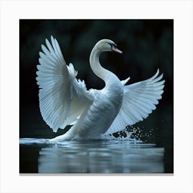 Swan In Flight Canvas Print