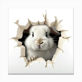 Rabbit Through A Hole 4 Canvas Print