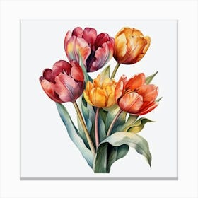 Watercolor Tulips 8 Canvas Print