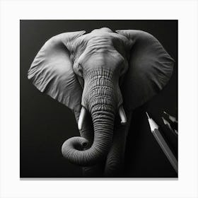 Pencil Drawing Of An Elephant Canvas Print