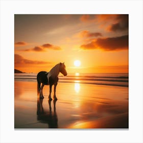 Horse On The Beach At Sunset 2 Canvas Print