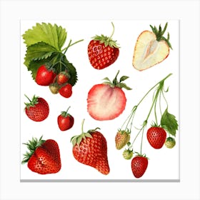 Strawberry Set Canvas Print