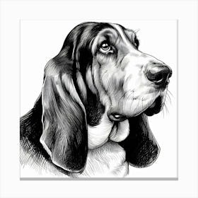 Basset hound dog Canvas Print