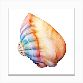 Colorful Sea Shell Canvas Print