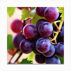 Grapes On The Vine 11 Canvas Print
