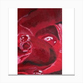 Red Rose Canvas Print