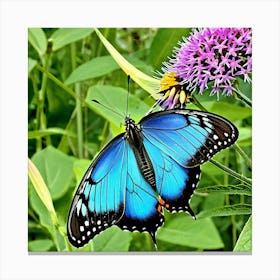 Blue Butterfly Canvas Print