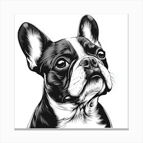 French Bulldog Canvas Print