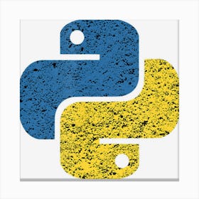 Distressed Python For Engineers Canvas Print