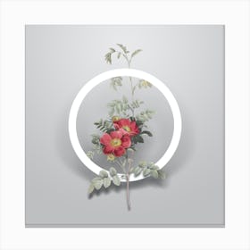 Vintage Alpine Rose Minimalist Flower Geometric Circle on Soft Gray n.0299 Canvas Print
