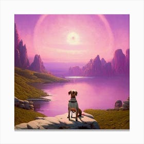 Dog On A Rock Canvas Print