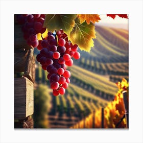 Grapes In A Vineyard 1 Canvas Print