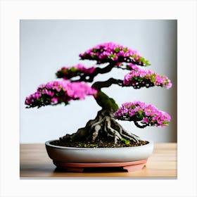 Bonsai Tree Canvas Print