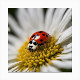 Ladybug On A Daisy 3 Canvas Print