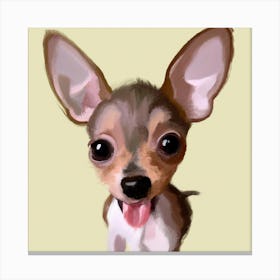 Chihuahua Canvas Print