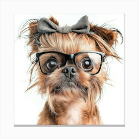 Yorkshire Terrier 24 Canvas Print