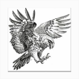 Eagle In Flight 1 Canvas Print