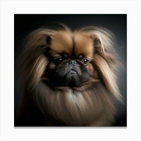 Pekingese Portrait Canvas Print