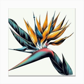 Bird of paradise flower 4 Canvas Print