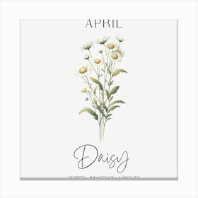 Daisy April Birthday Canvas Print