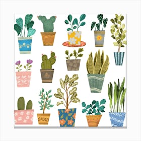 Cactus House plants Canvas Print