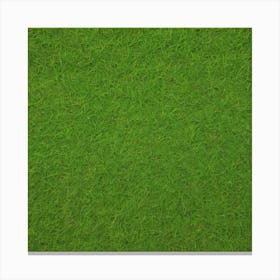 Green Grass Background 14 Canvas Print