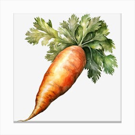 Carrot 2 Canvas Print