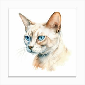 Colorpoint Shorthair Cat Portrait 2 Canvas Print
