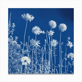 Flowers Photography In Style Anna Atkins (3) Canvas Print