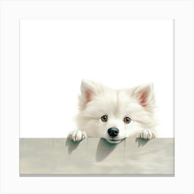 White Pomeranian Dog Canvas Print