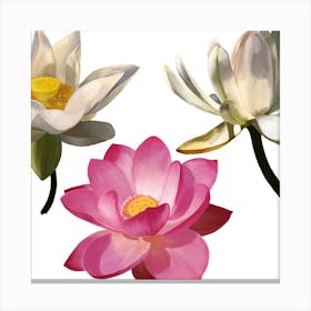 Lotus Flower 3 Canvas Print